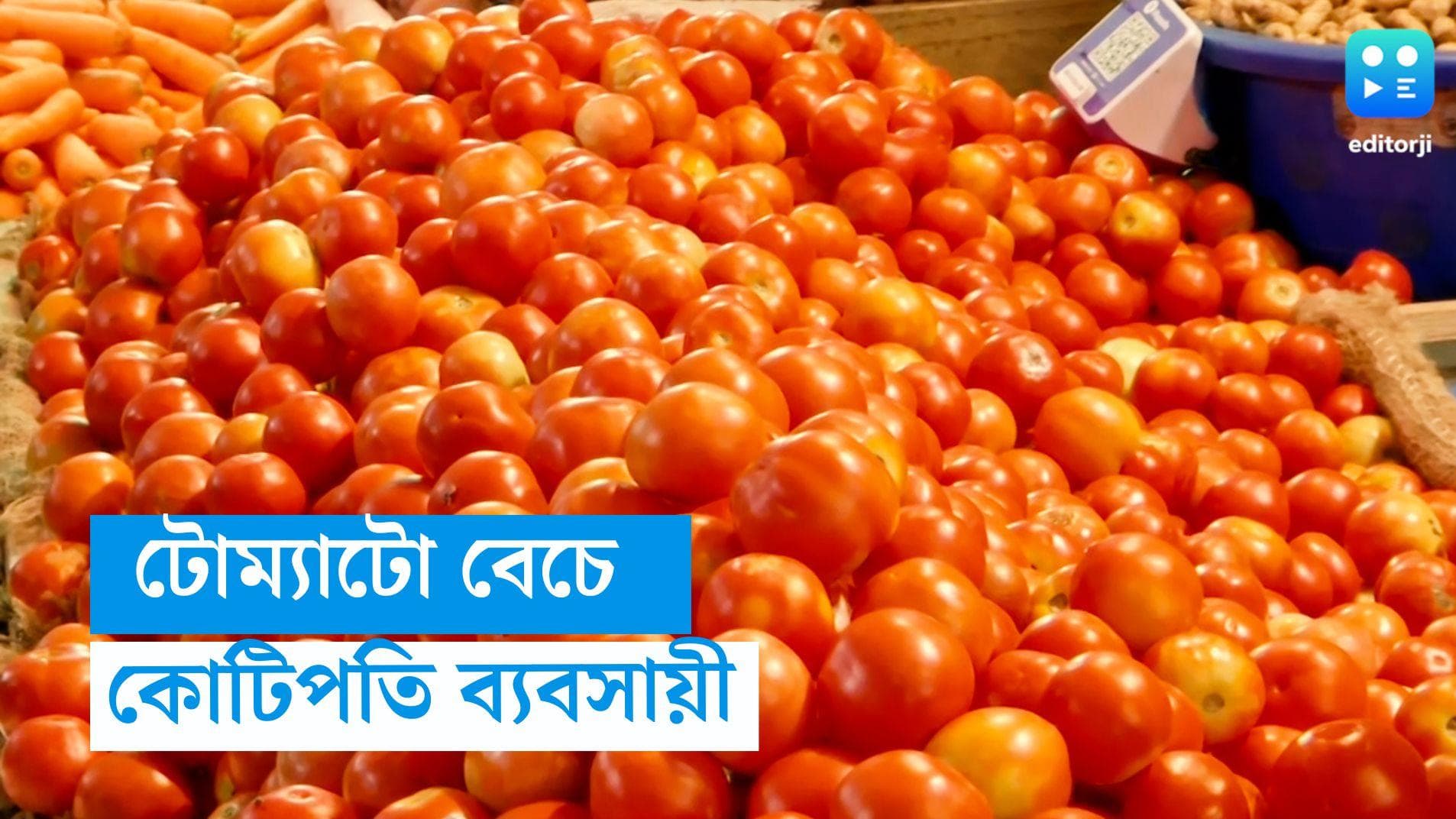Tomato Price hike: টোম্যাটো বেচে রাতারাতি কোটিপতি মহারাষ্ট্রের ব্যবসায়ী, দাম ছুঁতে পারে ৩০০ টাকাও 