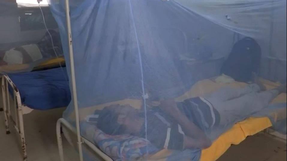 हरियाणा में Dengue से हालात बेकाबू, सिरसा में अर्द्धसैनिक बल के 26 जवान डेंगू की चपेट में 