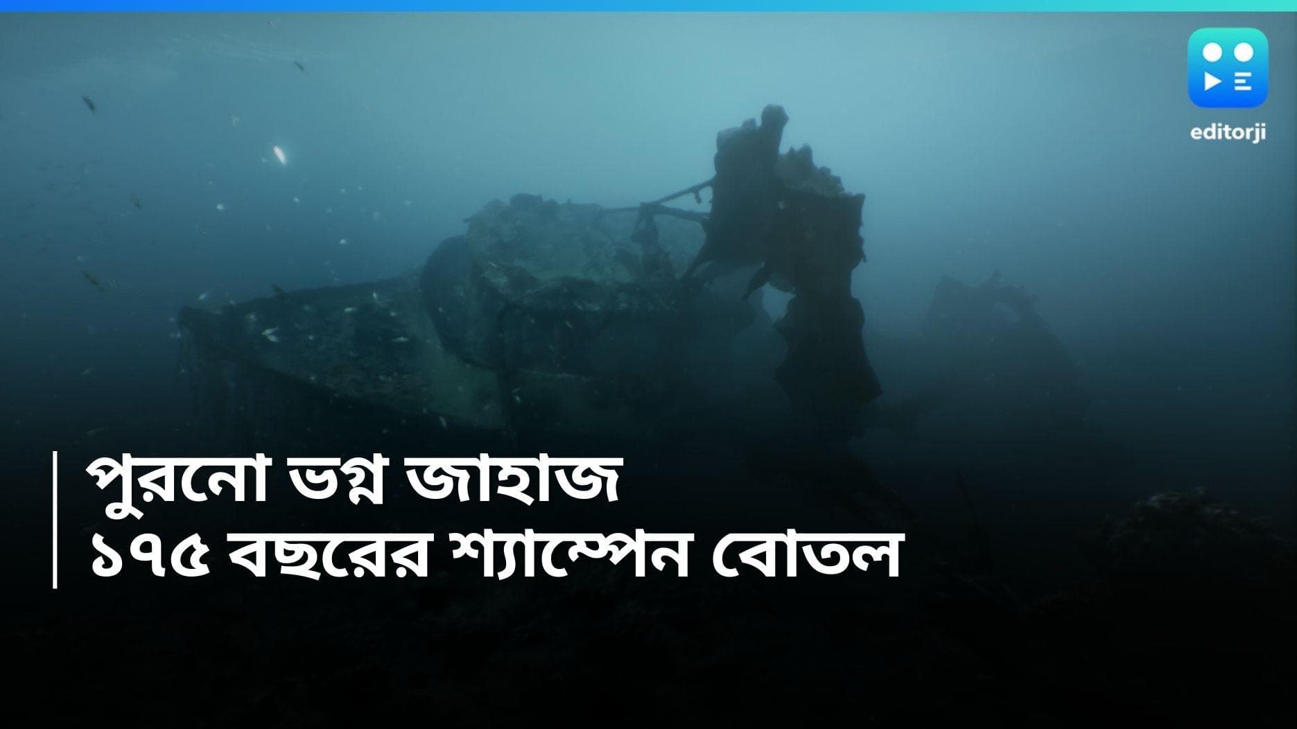 175 years old Champagne bottle: সাগরের তলায় ডুবে যাওয়া জাহাজের সন্ধান,পাওয়া গেল ১৭৫ বছরের পুরনো শ্যাম্পেন