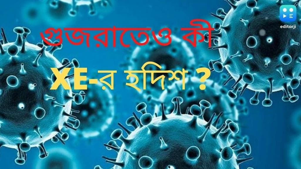 Gujrat XE : মুম্বইয়ের পর কি এবার গুজরাত ? করোনার নতুন প্রজাতি XE-র হদিশ মিলল রাজ্যে
