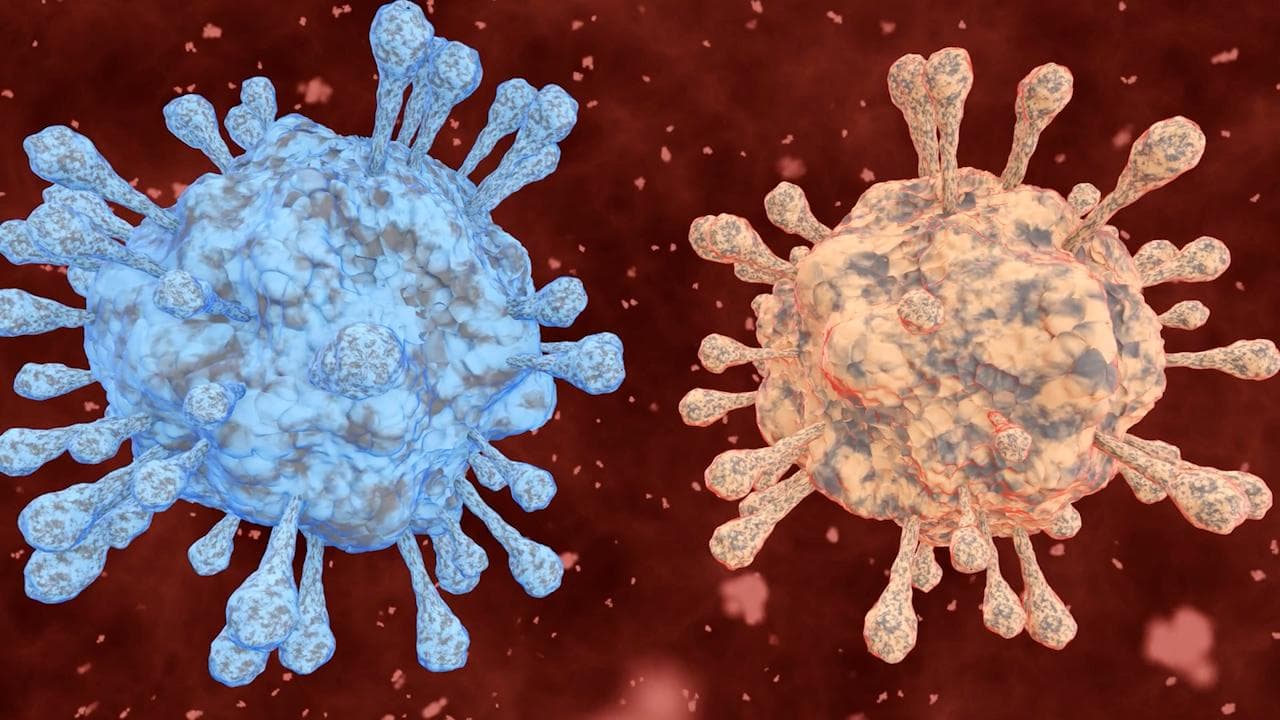 WHO: Omicron poses 'very high' risk , severe consequences