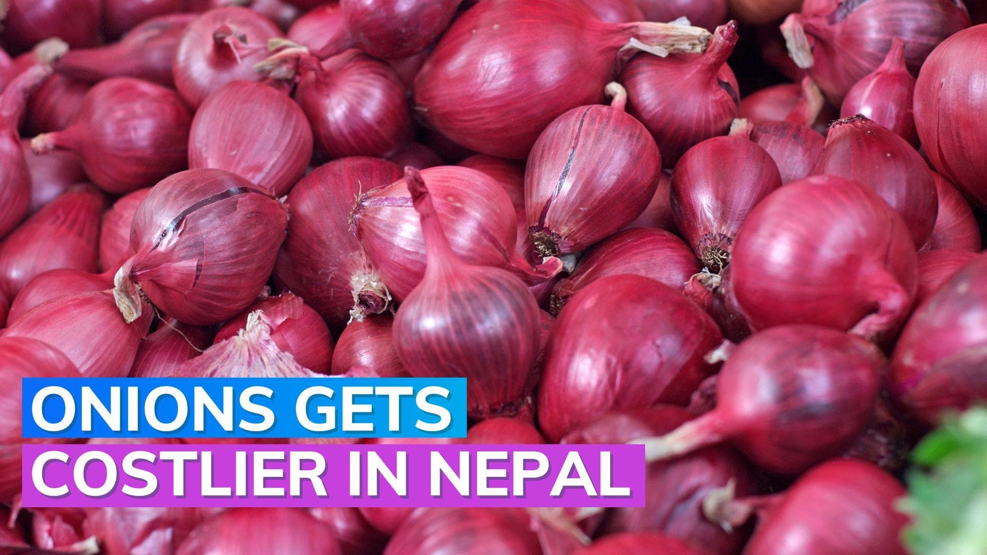 Onion shortage: Nepal grapples with shortfall as India Imposes 40% tax 