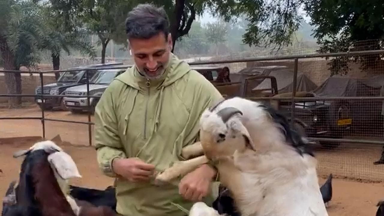 Akshay Kumar ने जानवरों को खिलाई घास, वीडियो शेयर कर कहा मैं बहुत खुशकिस्मत हूं!