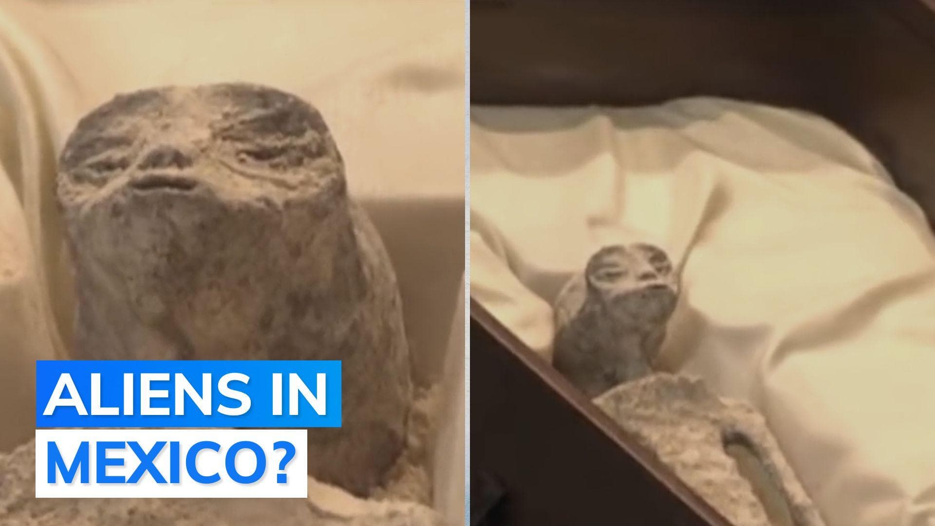 Two 'alien bodies' unveiled in Mexico Congress: report