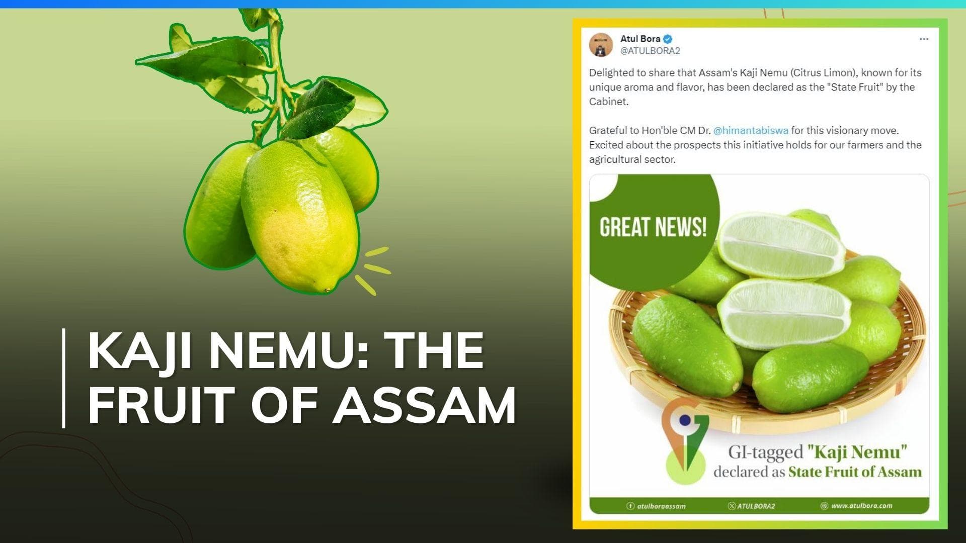 Kaji Nemu: Assam government declares this as the state fruit, know its health benefits 
