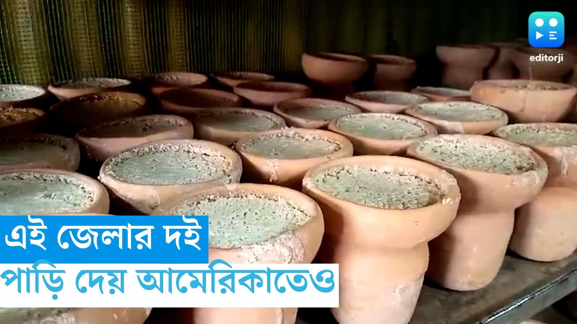 Nayabazar Doi: বাংলা, বিহারের মন জয় করে সুদূর আমেরিকাতেও নিজের জায়গা পাকা করেছে নয়াবাজারের দই