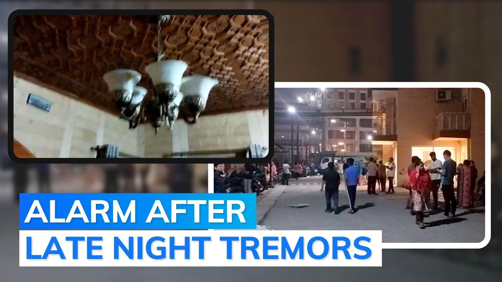 6 earthquakes in India in March so far: reports