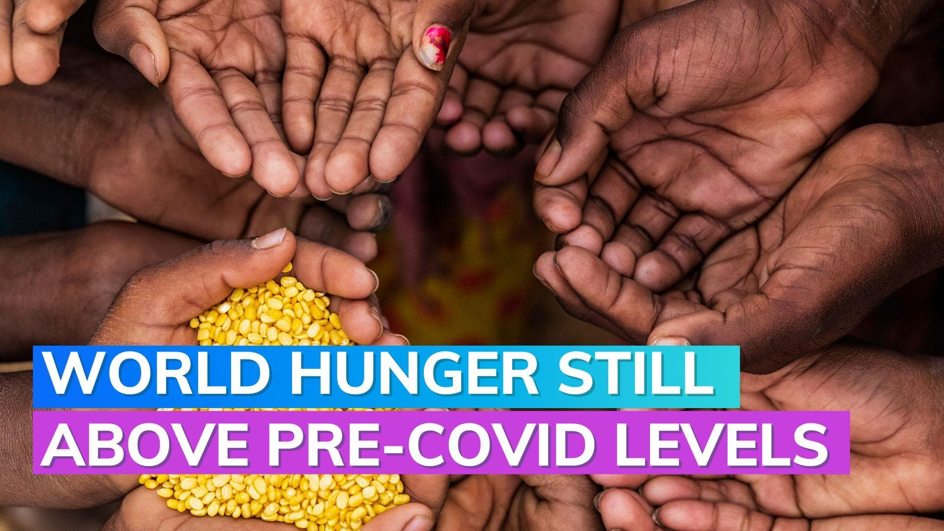 World hunger stops rising but remains elevated: UN 