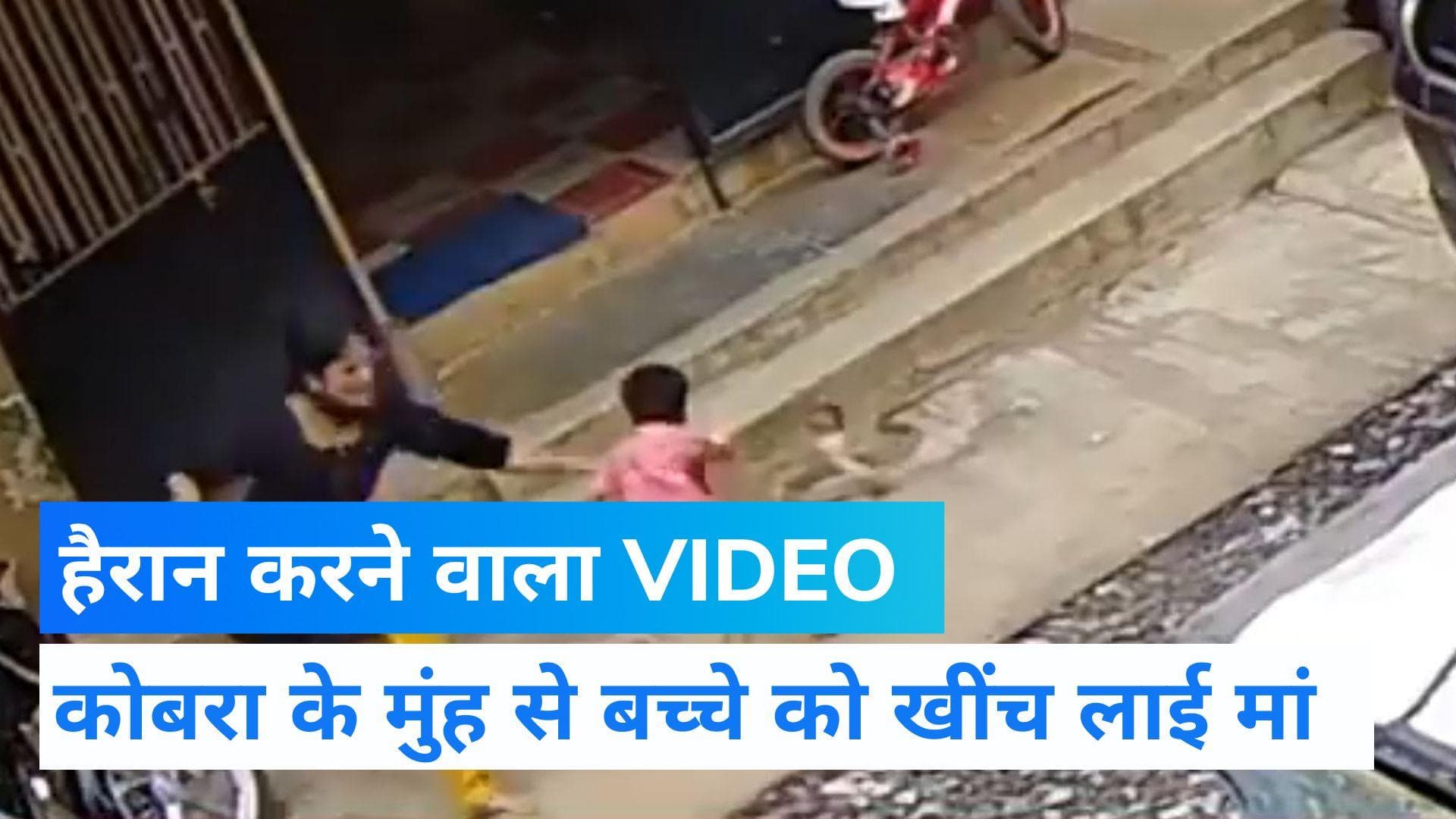 Viral video: मां ने बच्चे को कोबरा से बचाया, हैरान कर देगा वीडियो