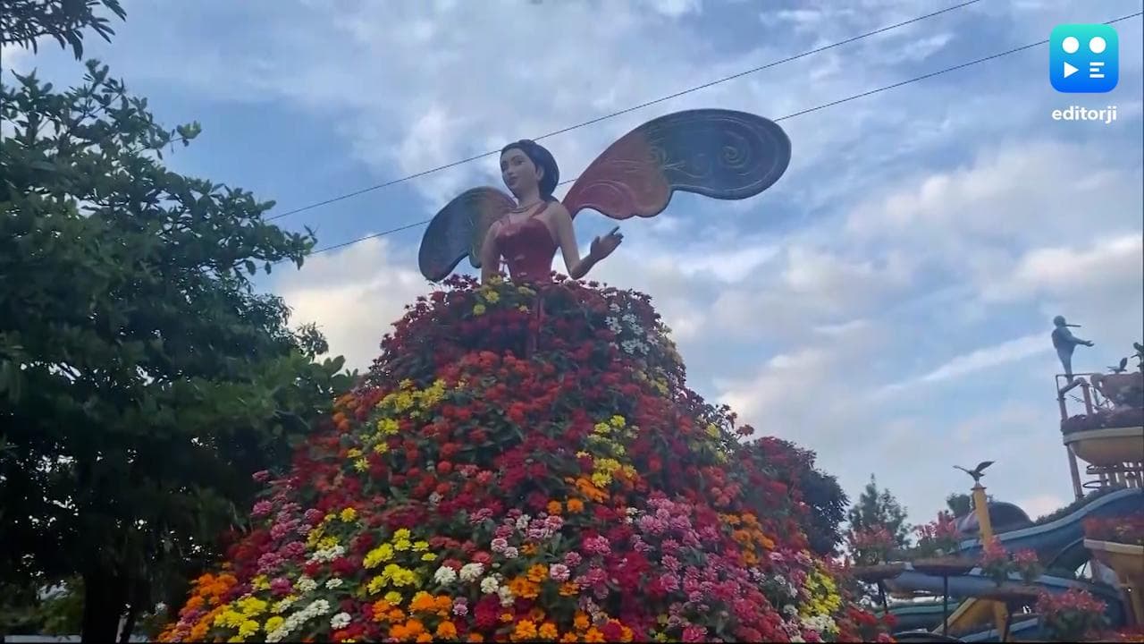 Nashik Flower Park: कोरोना की वजह से बंद पड़े Water Park को बनाया फ्लावर पार्क, अब दूर-दूर से आ रहे लोग