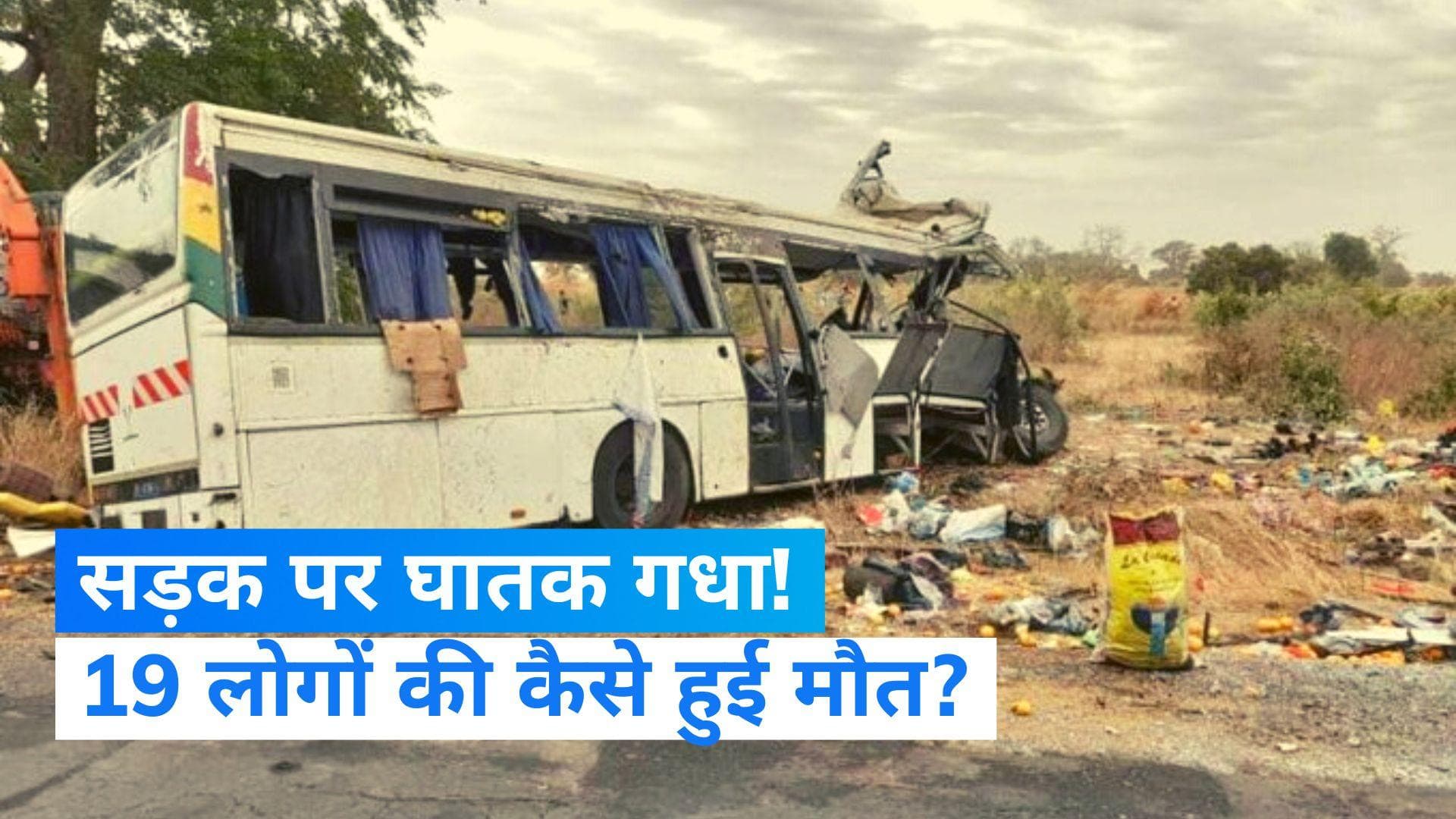 Road accident: सेनेगल में एक गधे की वजह से गई 19 लोगों की जान! बस और ट्रक के बीच टक्कर 