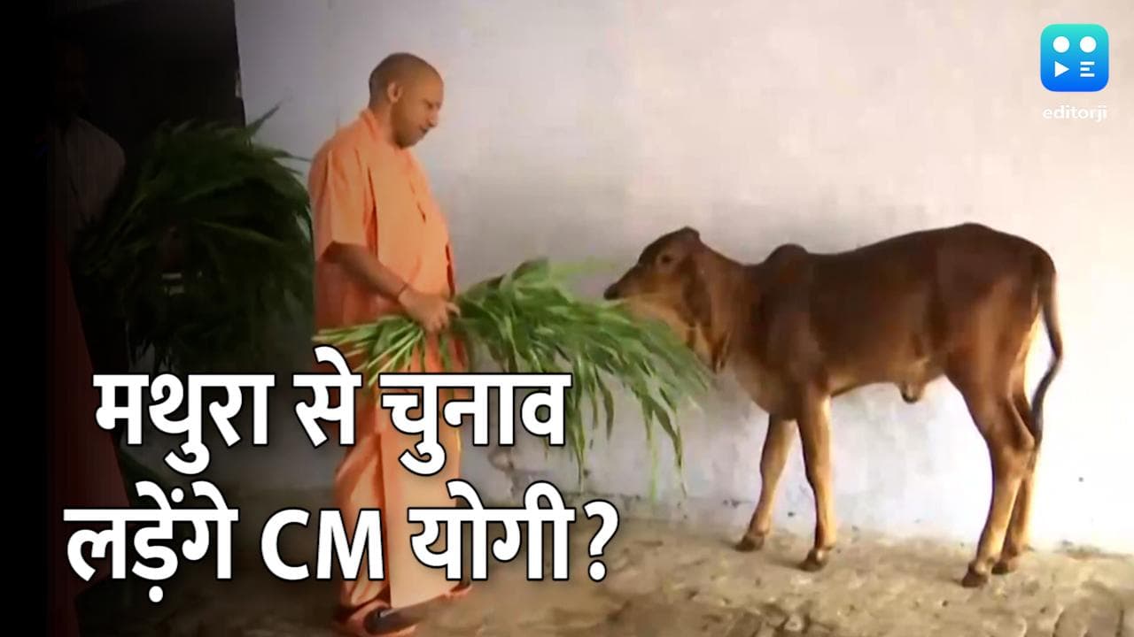 UP election 2022: योगी की मथुरा से चुनाव लड़ने की तैयारी! जानिए क्या मुख्यमंत्री ने दिया जवाब 