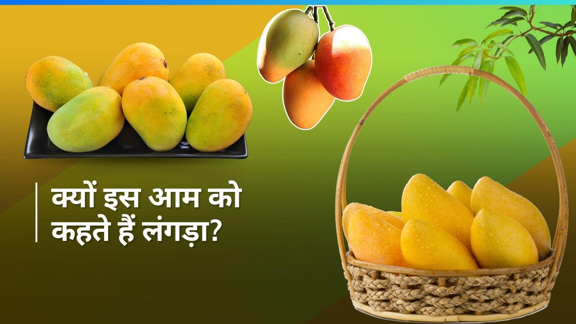 Langra Aam: कैसे पड़ा लंगड़ा आम का नाम, जानिए क्या है इसके पीछे की कहानी