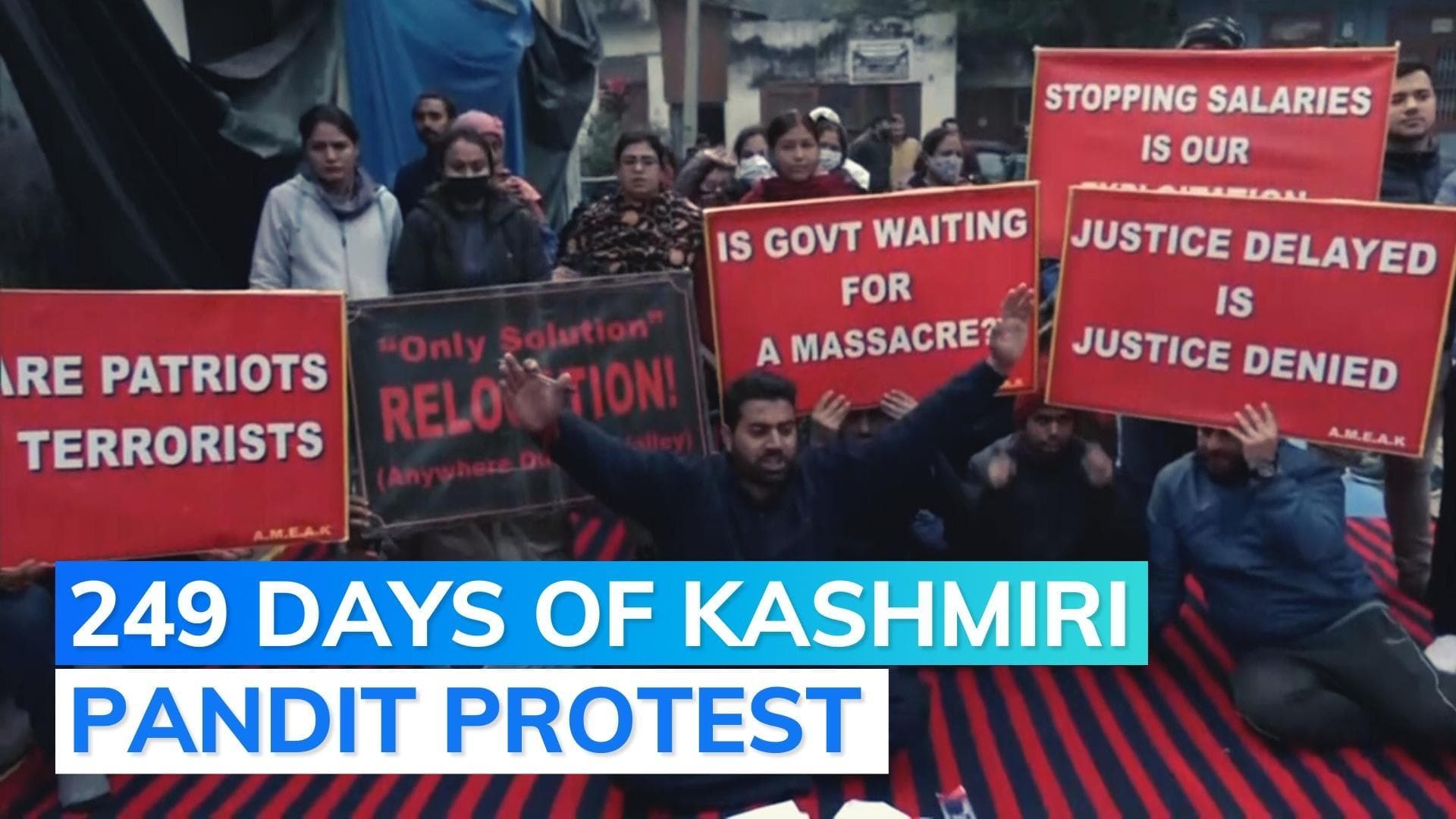 J&K: Ahead of Amit Shah's visit, Kashmiri Pandit employees stage protest amid terror attack fear