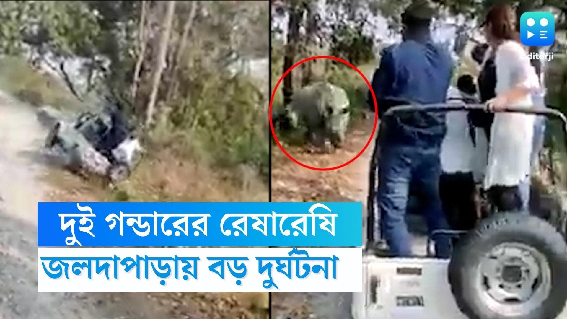 Jaldapara Accident: দুই গন্ডারের রেষারেষিতে দুর্ঘটনার মুখে সাফারি গাড়ি, জলদাপাড়ায় আহত ৭ জন 