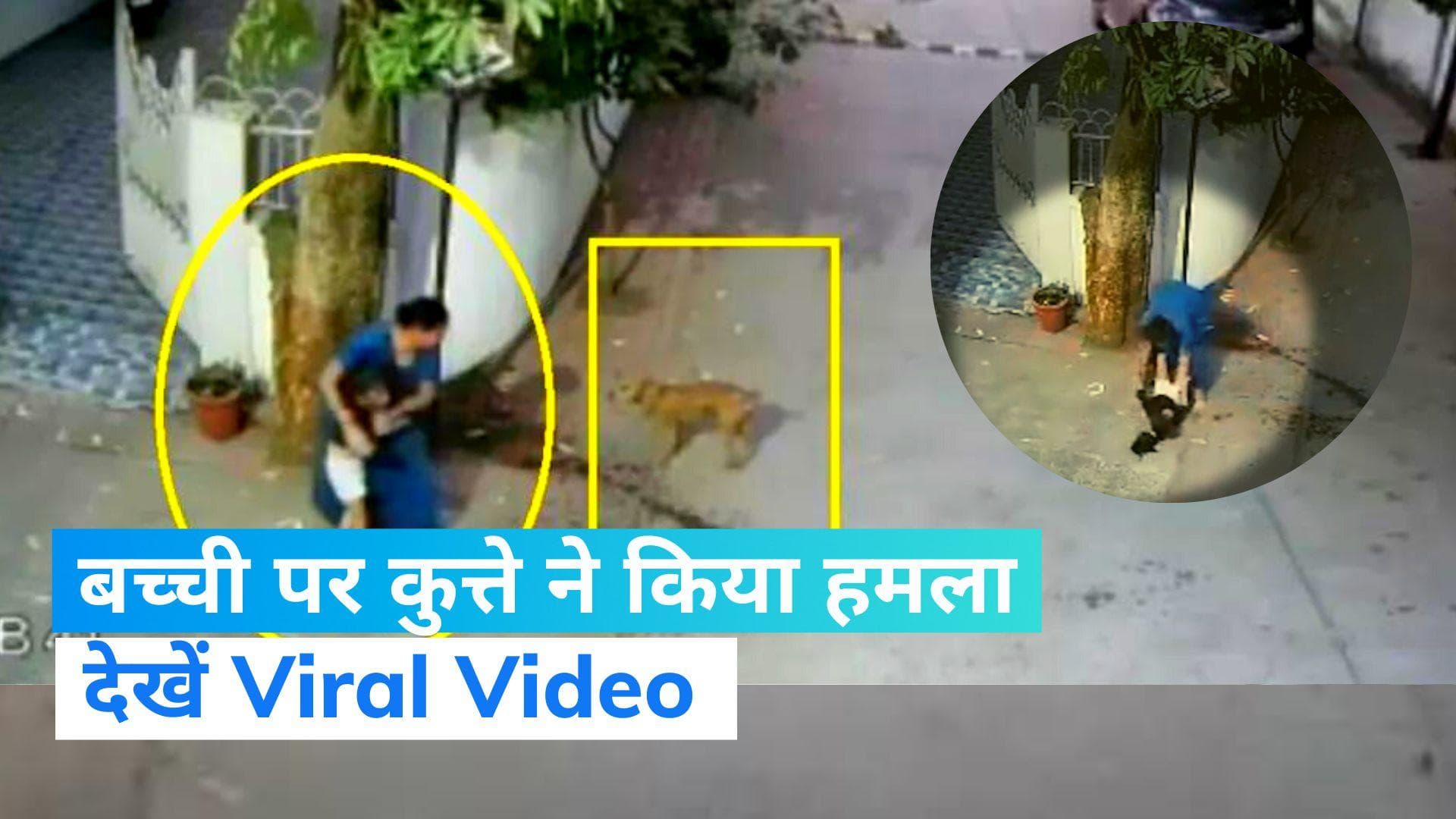 Viral Video: गुजरात के सूरत में कुत्ते ने बच्ची पर किया हमला, बचाने गई मां को भी किया जख्मी