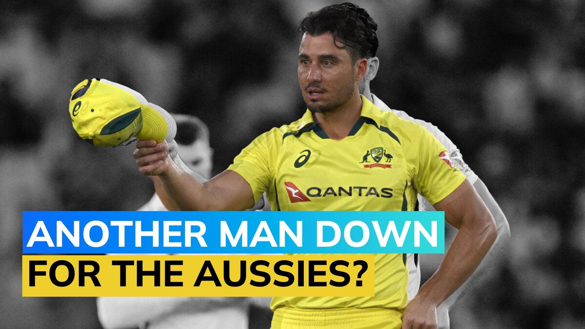 No Marcus Stoinis in Australia vs India World Cup match? Here's what Aussie coach has to say 