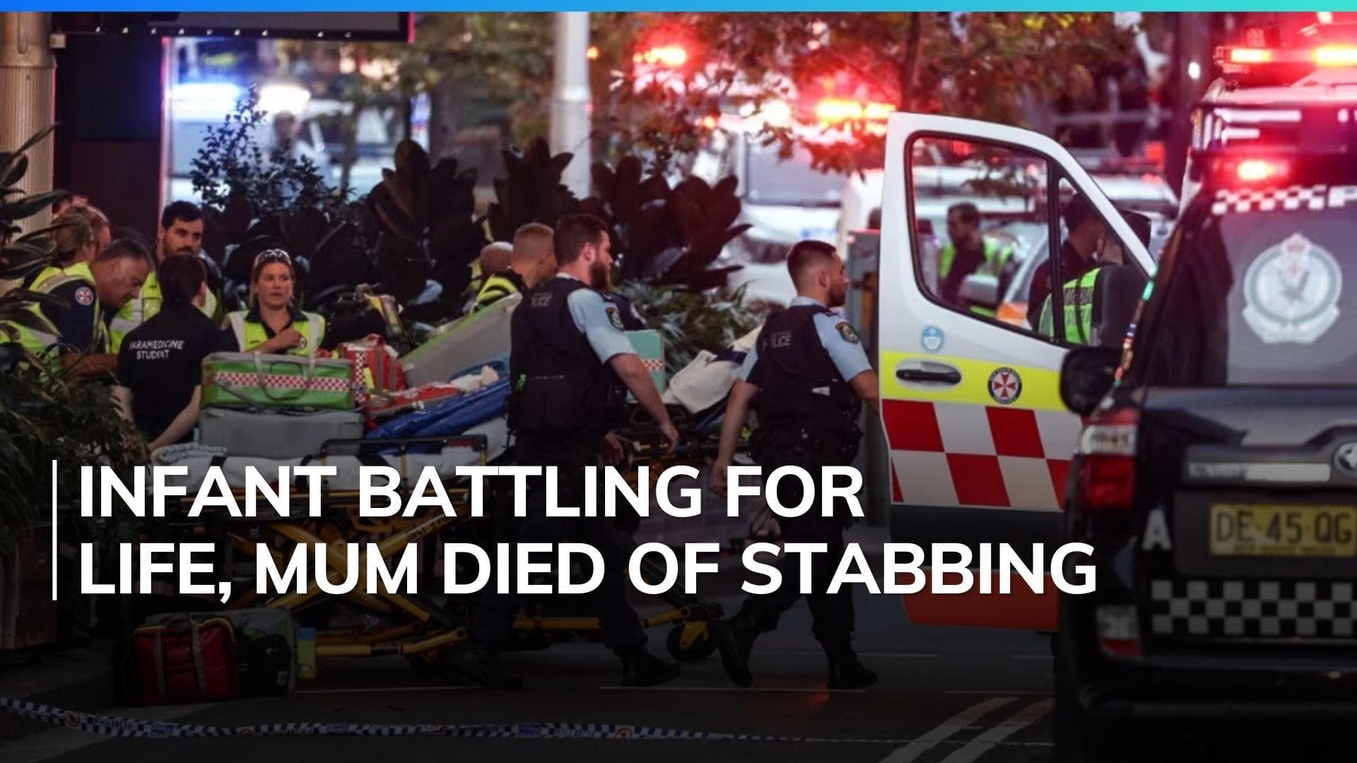 Suffered from mental health issue: Sydney stabbing attacker identified, police rule out terror