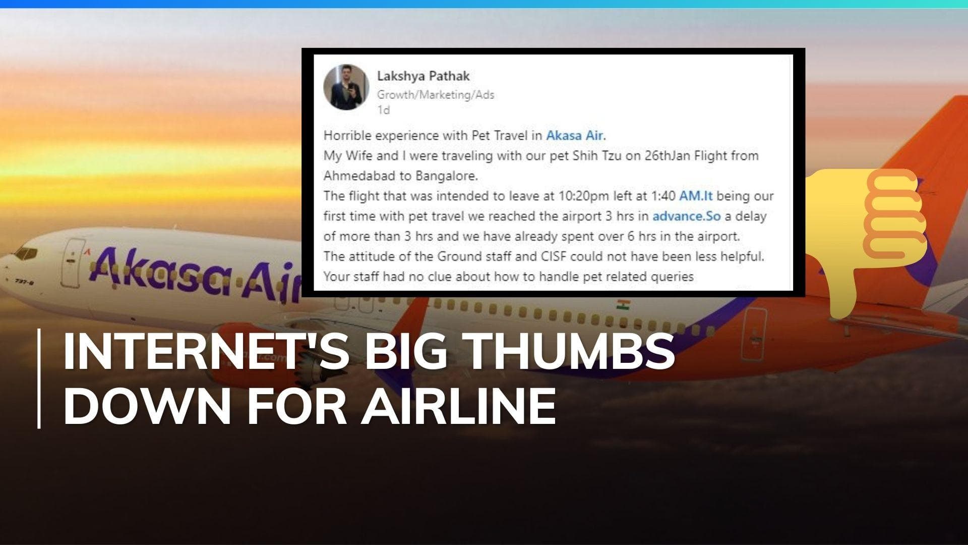 Man shares 'horrible' experience of first flight with pet dog on Akasa Air