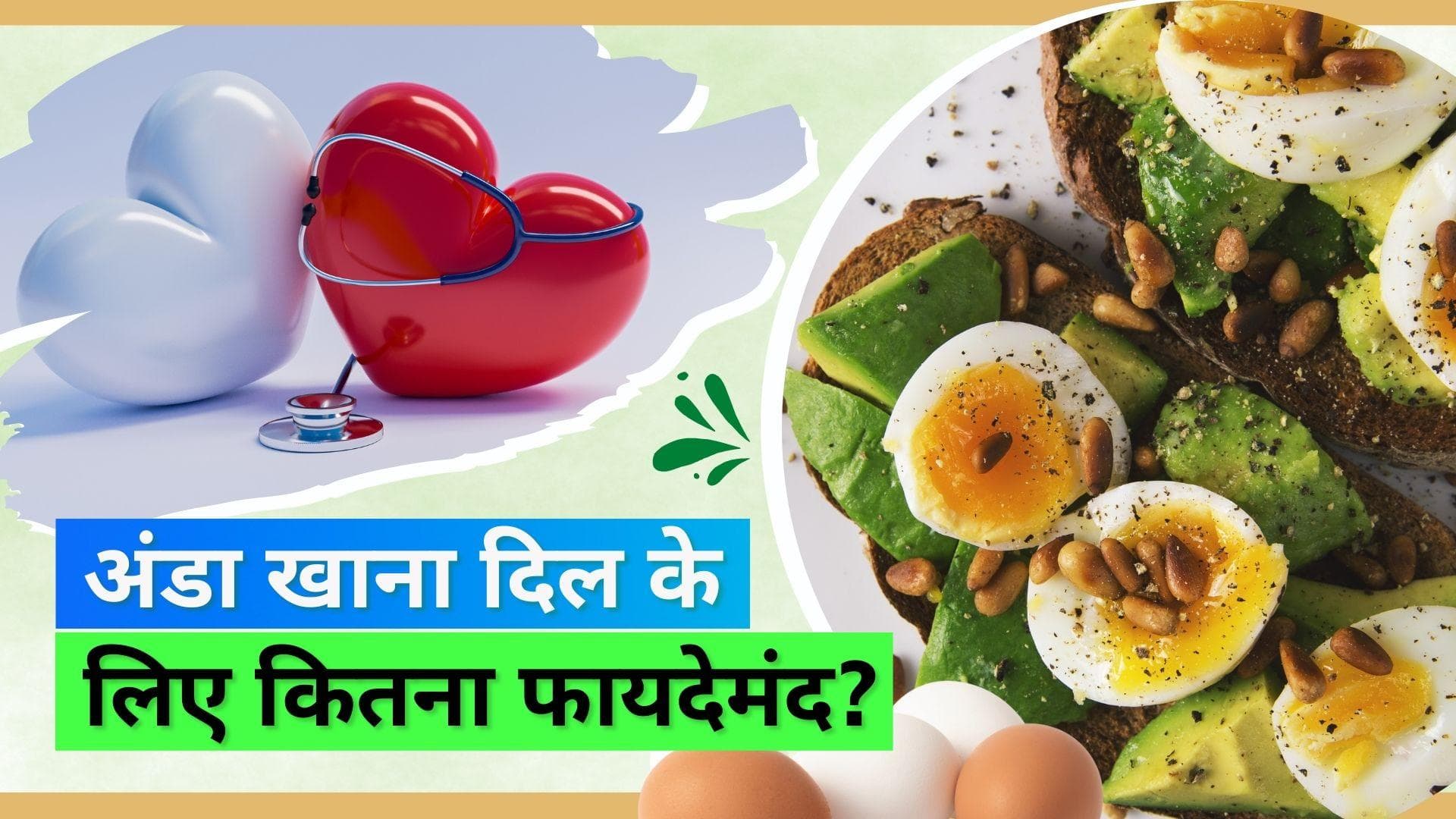 Eggs For Heart Health: अंडे का ये हिस्सा खाने से हार्ट हेल्थ हो सकती है बेहतर, देखिए क्या कहती है स्टडी
