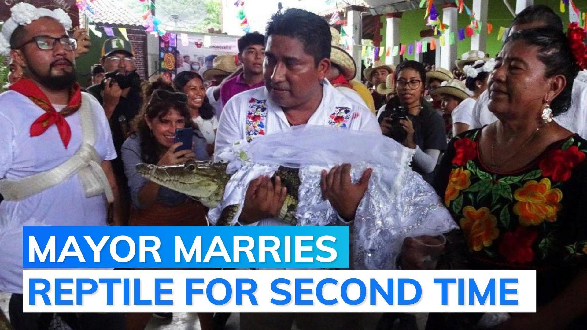Mexican mayor weds an alligator...again!