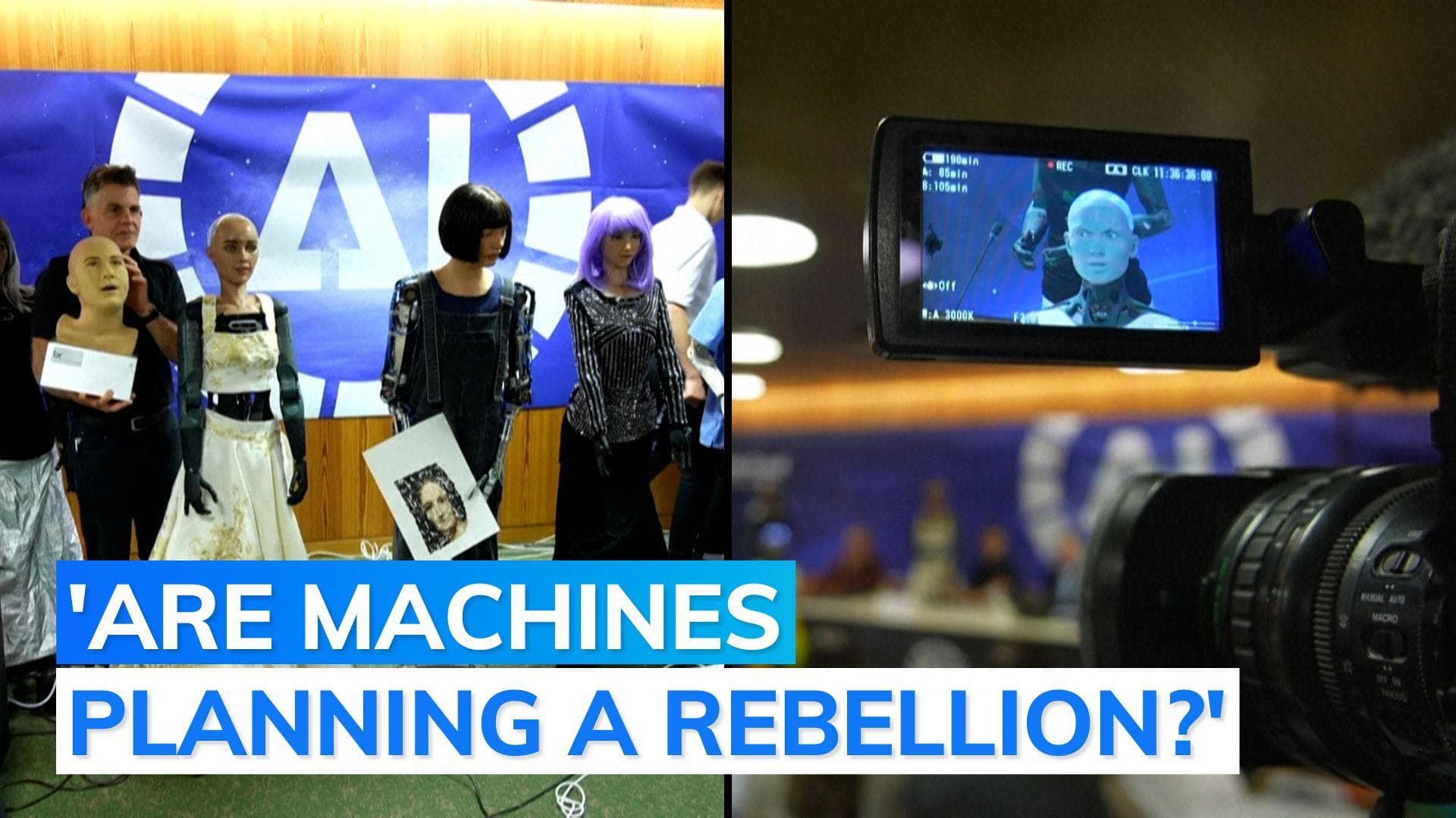 Will AI take away human jobs? Here's what a humanoid robot said at UN conference