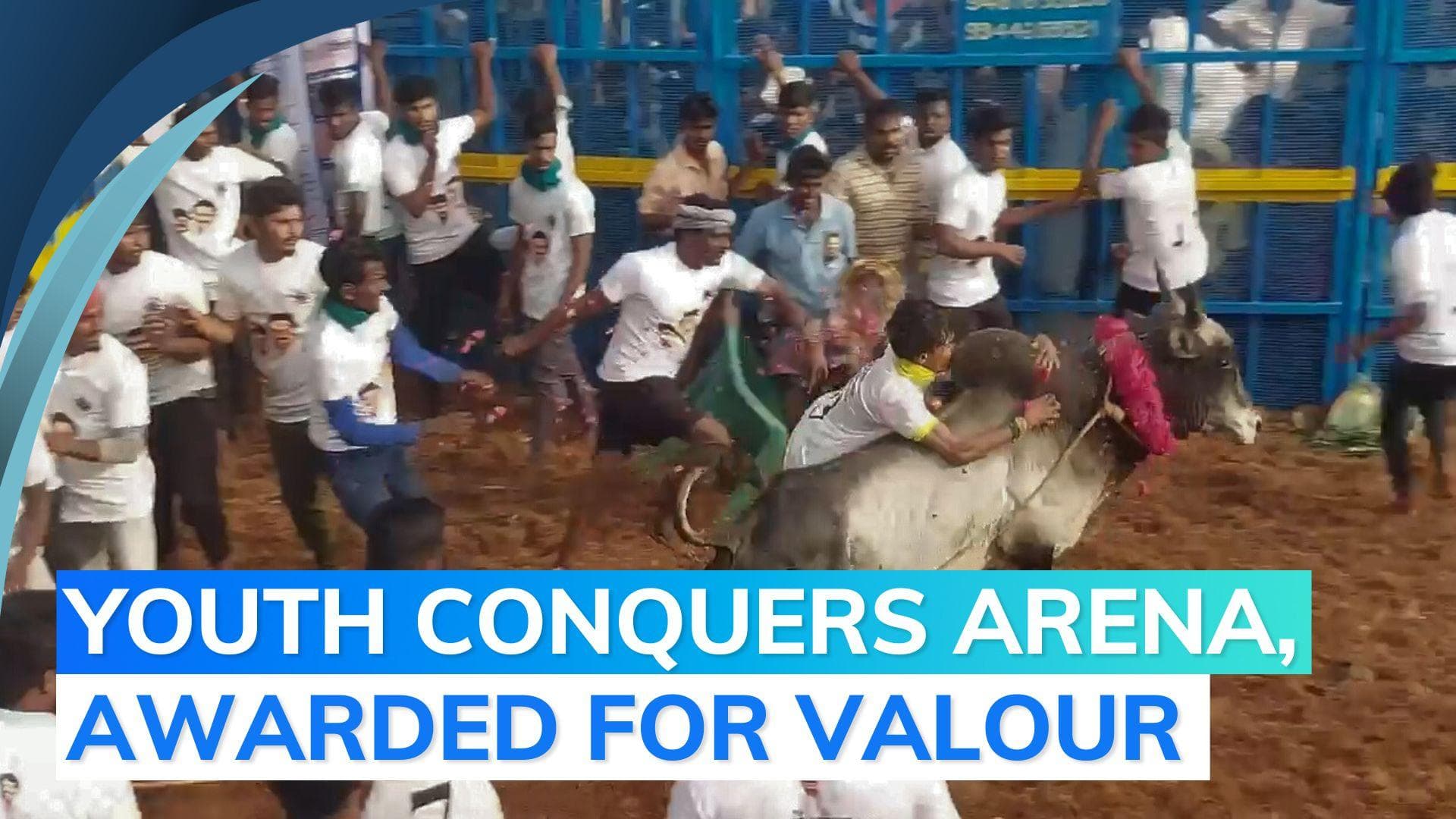 Jallikattu: youth tames 12 bulls, wins bike; many participants injured in Tamil Nadu