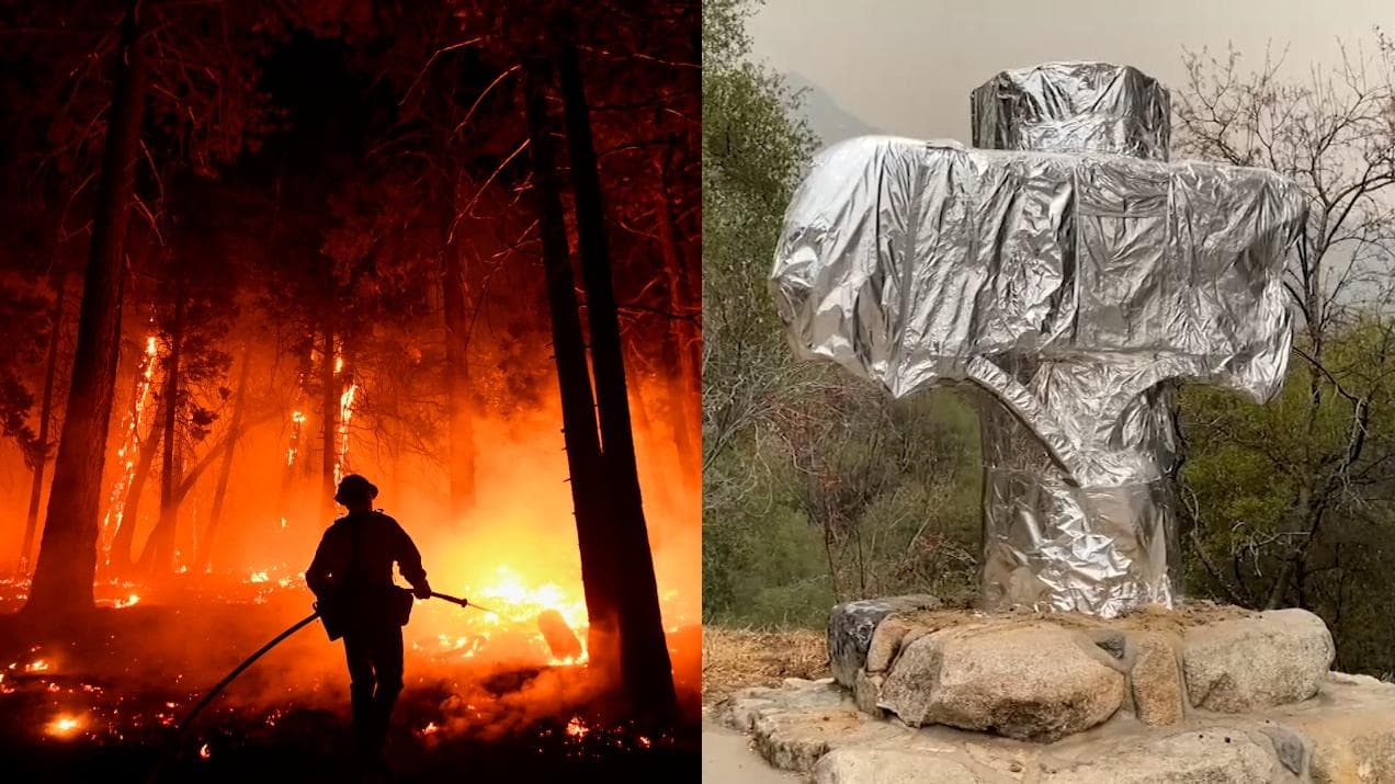 Here's how California is fire-proofing ancient trees as forest blaze rages 