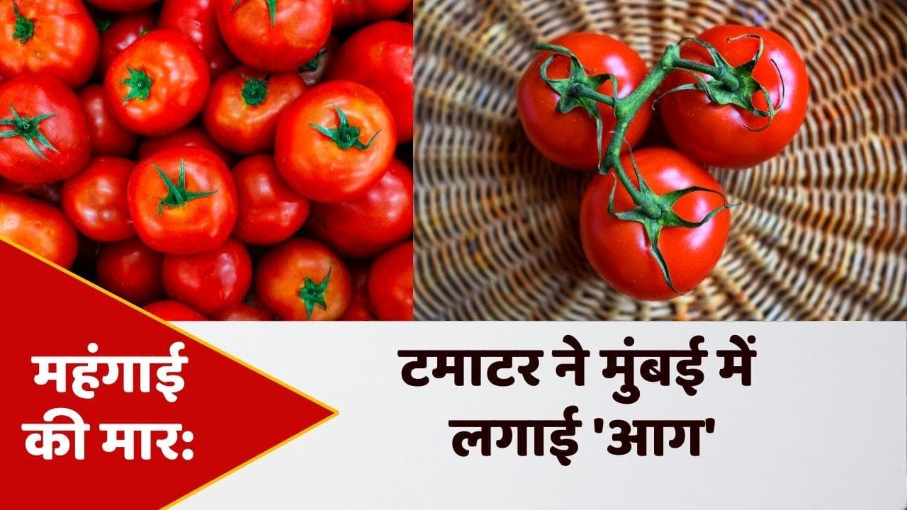 Tomato Price in Mumbai: मुंबई में टमाटर ने लगाई 'सेंचुरी', आगे दामों और लग सकती है 'आग'