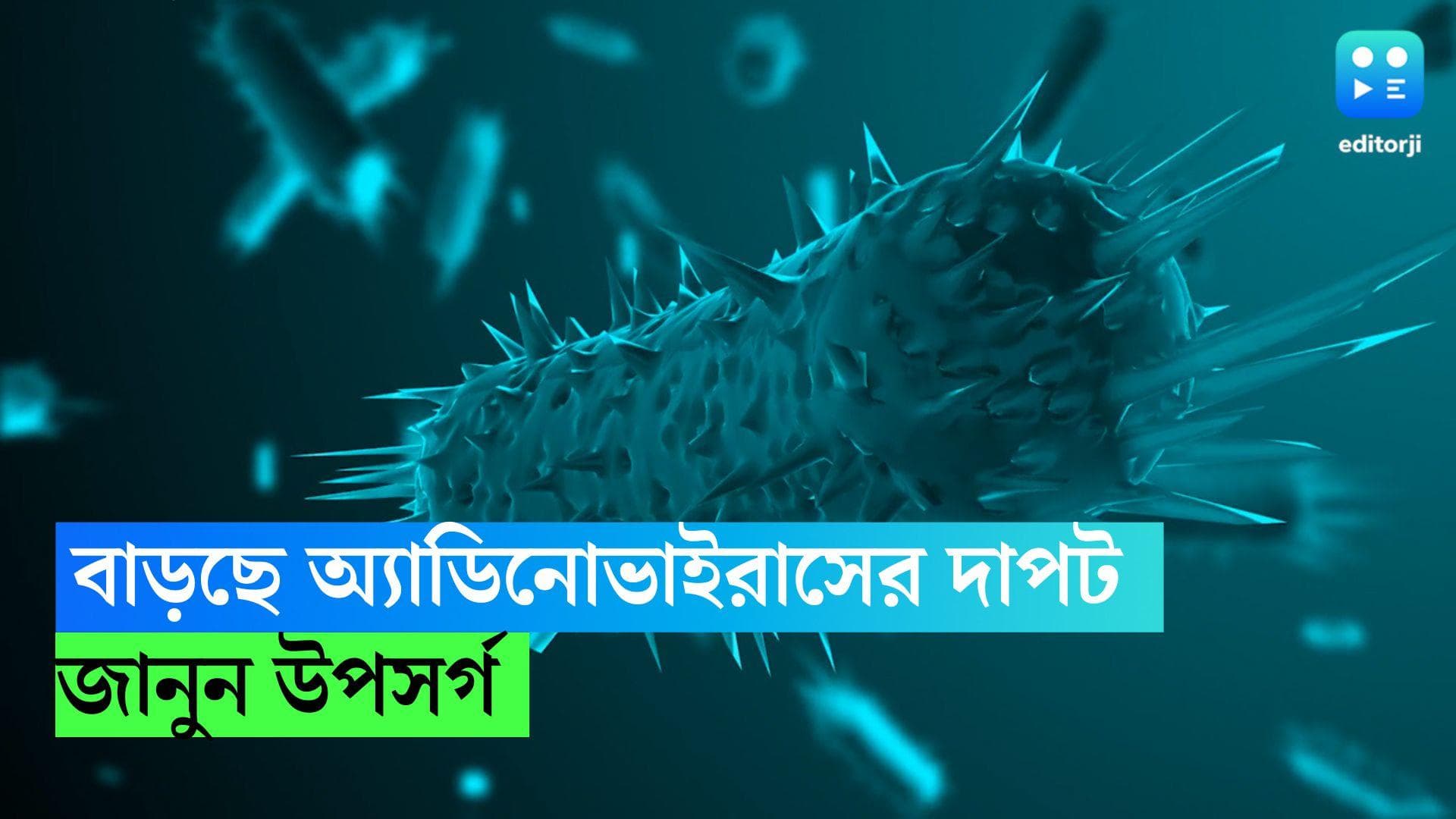 Adenovirus Symptoms: বাড়ছে অ্যাডিনোভাইরাসের দাপট, কীভাবে বুঝবেন ভাইরাসের উপসর্গ 