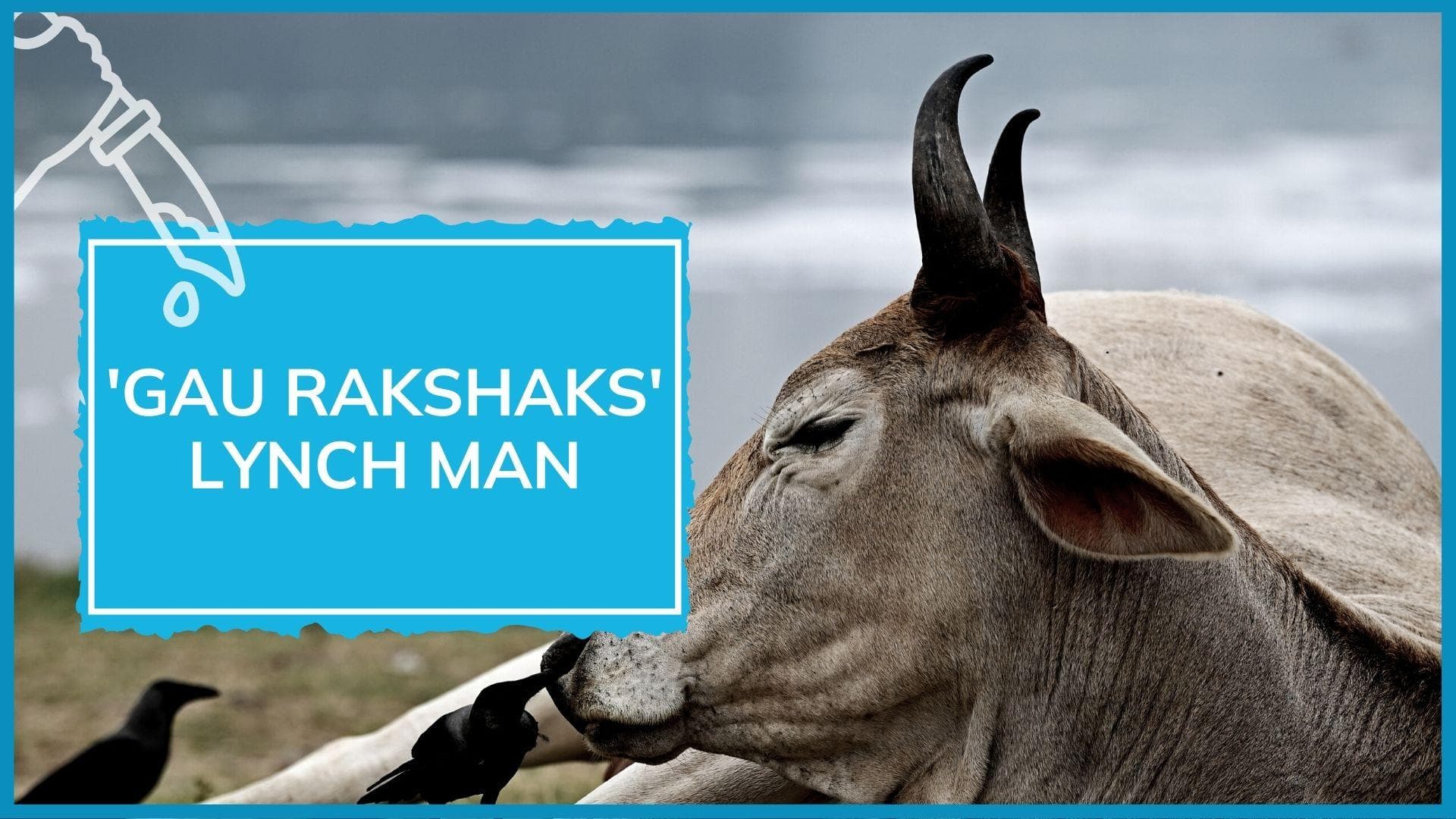 Delhi: man lynched on suspicion slaughtering cows, selling beef