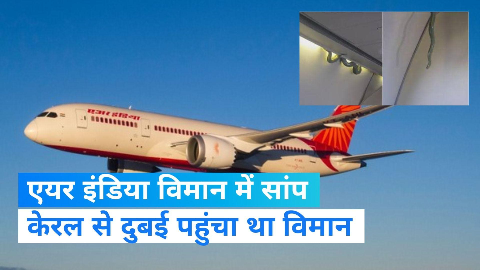 Air India: एयर इंडिया एक्सप्रेस के विमान में सांप, ग्राउंड स्टॉफ की मदद से यात्रियों को सुरक्षित निकाला 