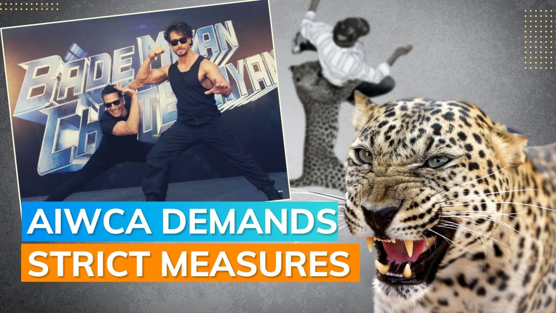 'Bade Miyan Chote Miyan' make-up artist attacked by a leopard