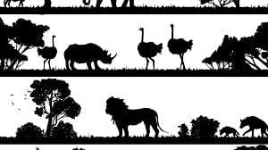 World Wildlife Day 2022: क्यों मनाया जाता है वर्ल्ड वाइल्डलाइफ डे और क्या है इस साल की थीम?