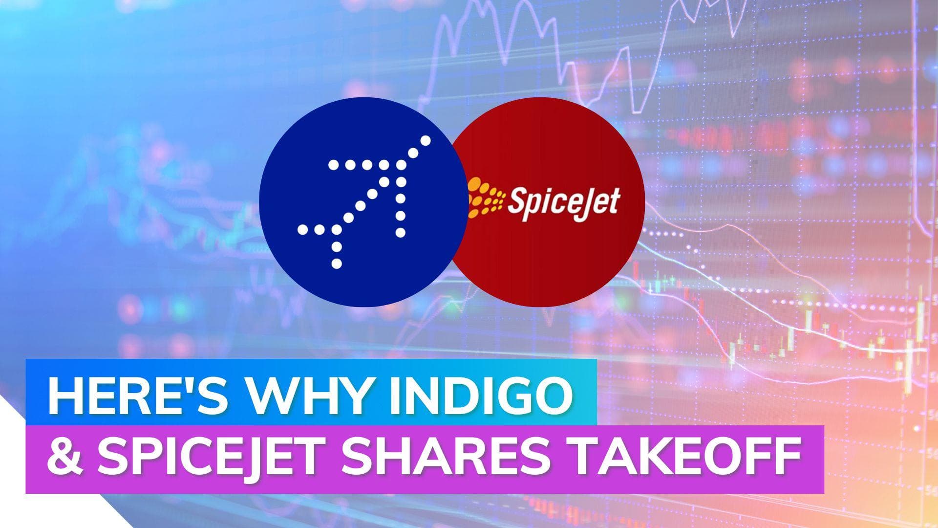 IndiGo, SpiceJet shares surge as Go First files for bankruptcy 