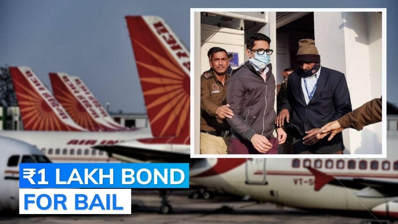 Air India urination case: accused Shankar Mishra gets bail