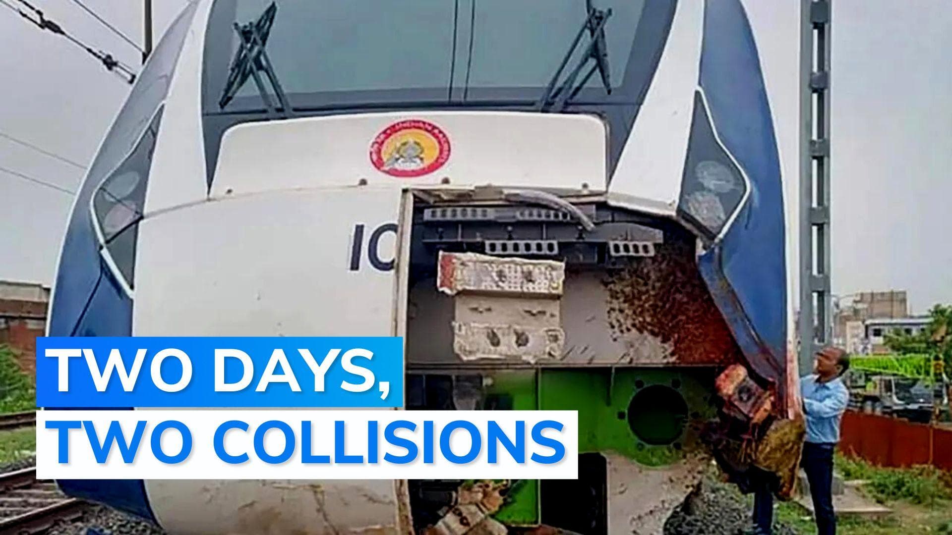 Vande Bharat hits cow after buffaloes; cattle collision unavoidable says Railway Minister