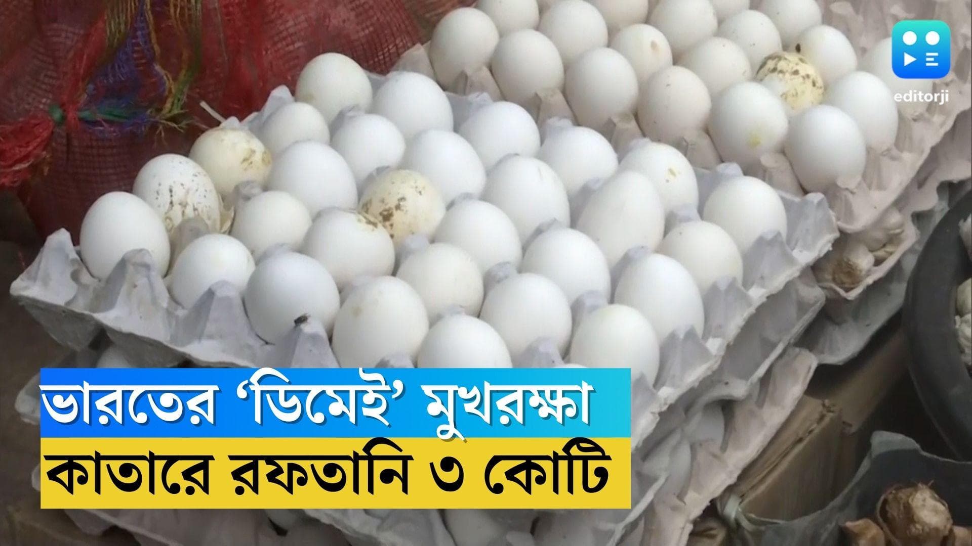 Egg Export To qatar: ডিমেই মুখরক্ষা,ভারতের থেকে আমদানি দ্বিগুণ করল কাতার , বাড়তে পারে ডিমের দাম 