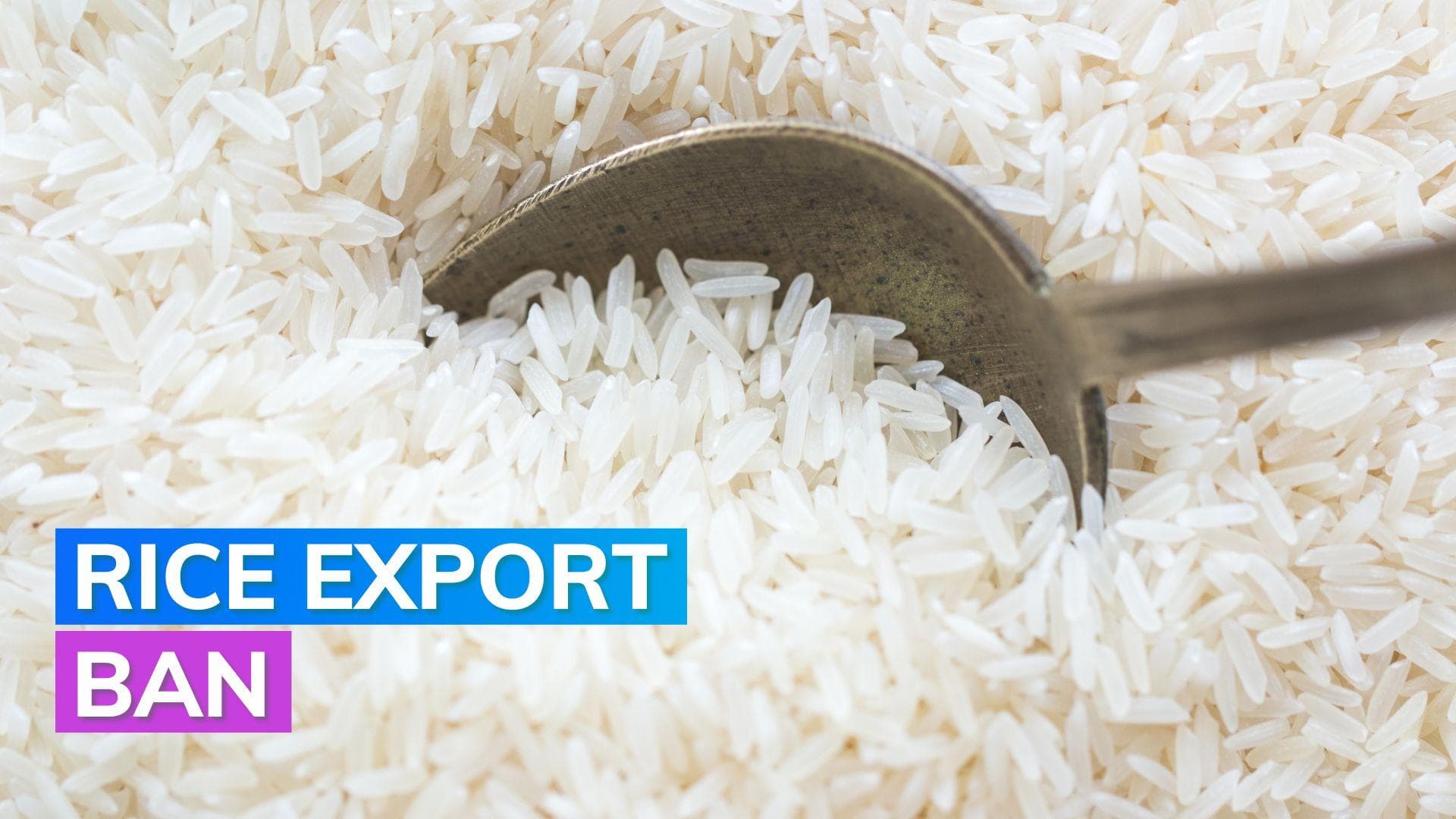 Here's why govt bans exports of non-basmati white rice 
