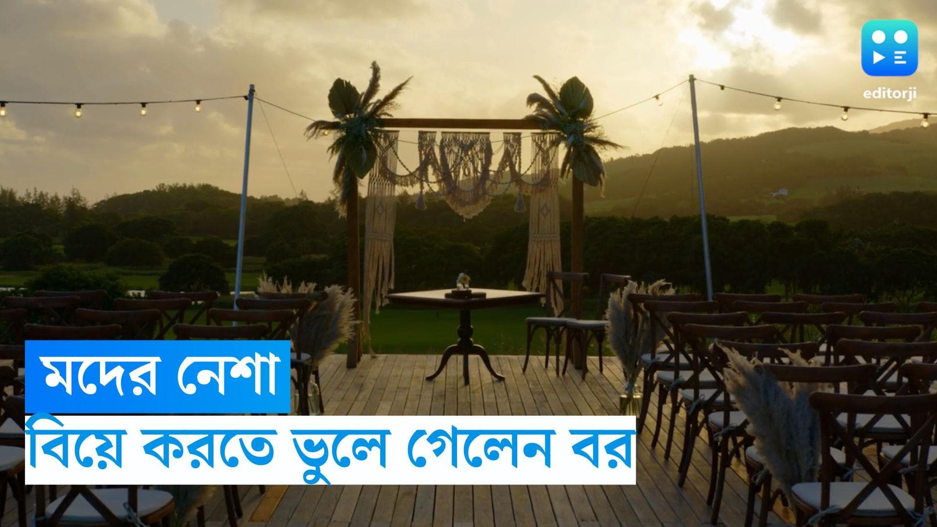 Bihar News: মদের নেশায় বিয়ে করতে ভুলে গেলেন বর, তারপর... 