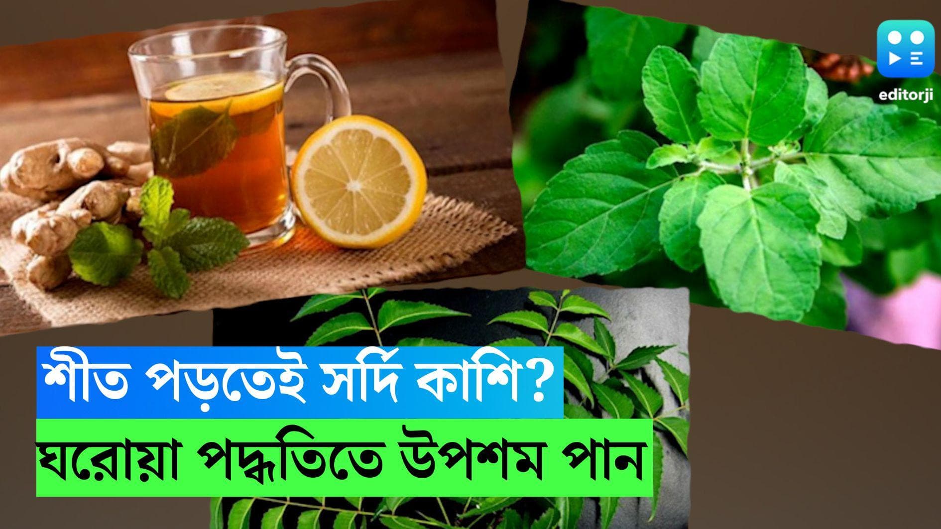 Cough Cold Home Remedy: শীত পড়তেই সর্দি কাশি? জানুন ঘরোয়া পদ্ধতিতে উপশম পাওয়ার কয়েকটি উপায়