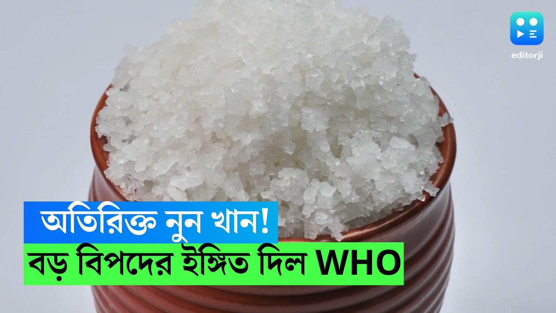 Salt Consumption : অতিরিক্ত নুন খান, পাতেও লবণ ছাড়া চলে না? বড় বিপদের ইঙ্গিত দিচ্ছে WHO