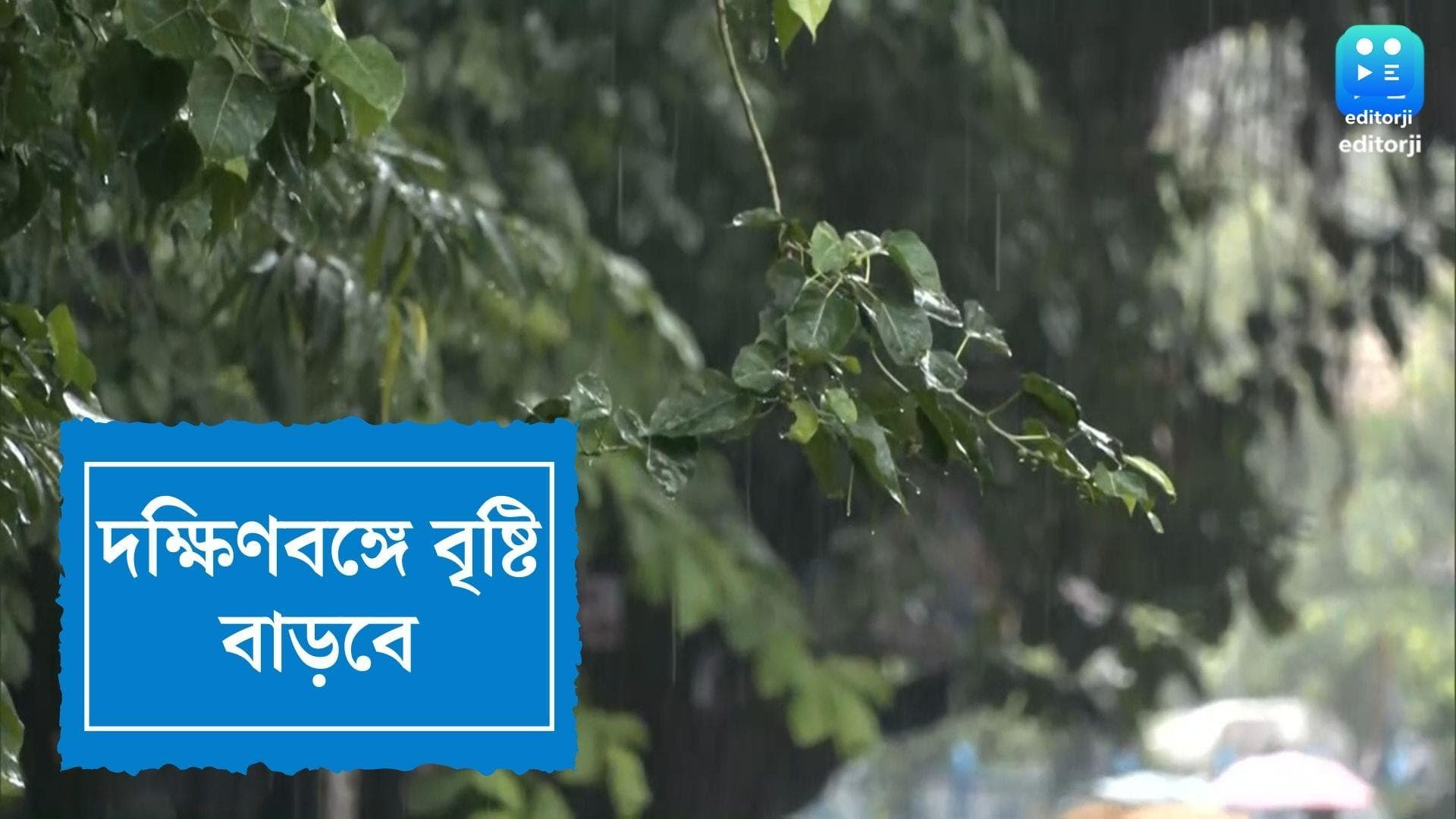West Bengal Weather Update: সপ্তাহের শুরুতেই বৃষ্টি বাড়বে দক্ষিণে, উত্তরের ৩ জেলায় ভারী বৃষ্টির সম্ভাবনা