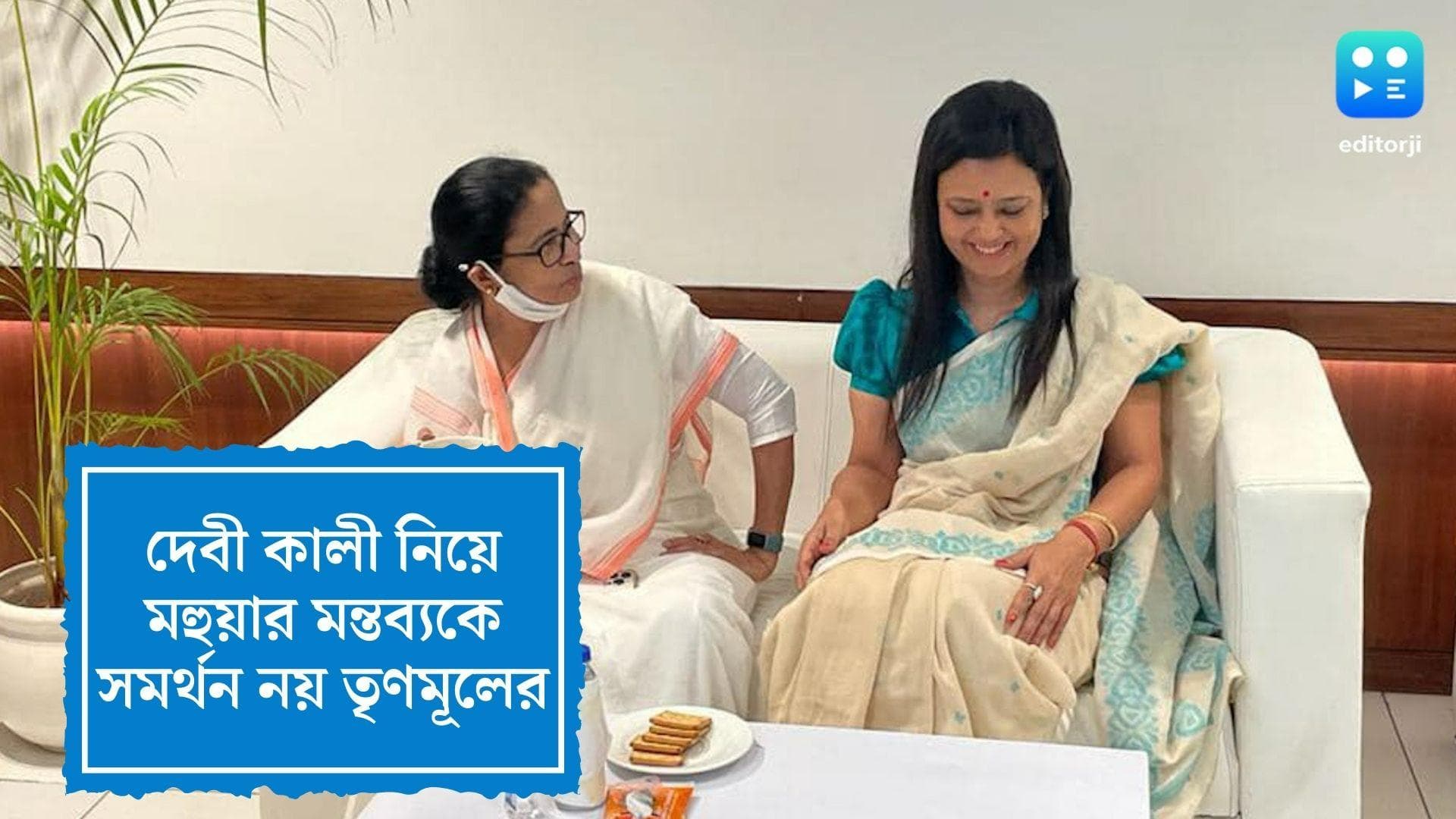 AITC Condemns Mohua Moitra's Comment: দেবী কালীকে নিয়ে মন্তব্য মহুয়ার ব্যক্তিগত ভাবনা, জানাল তৃণমূল