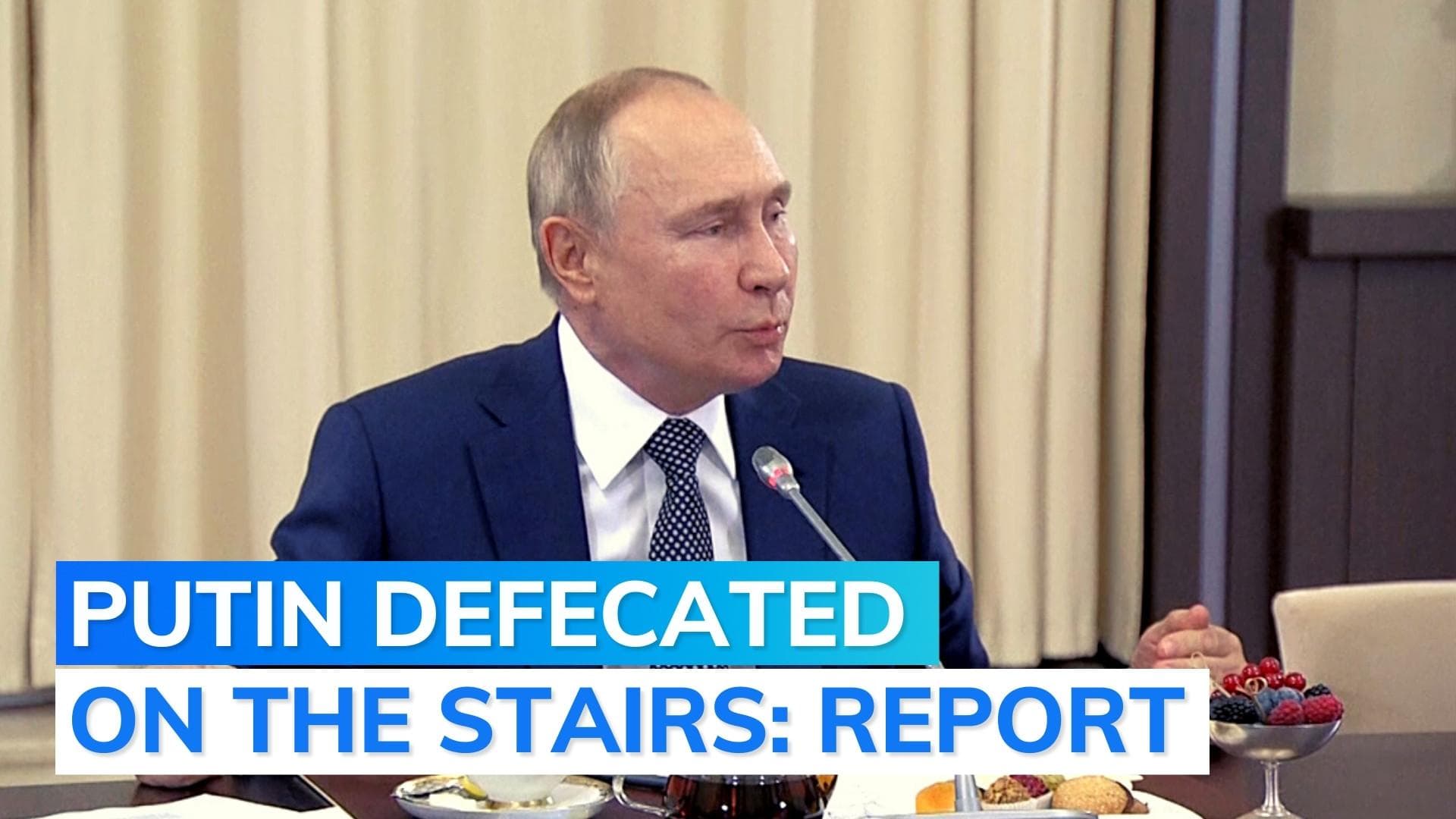 Putin fell down stairs, defecated 'involuntarily' due to cancer: report quotes Telegram channel
