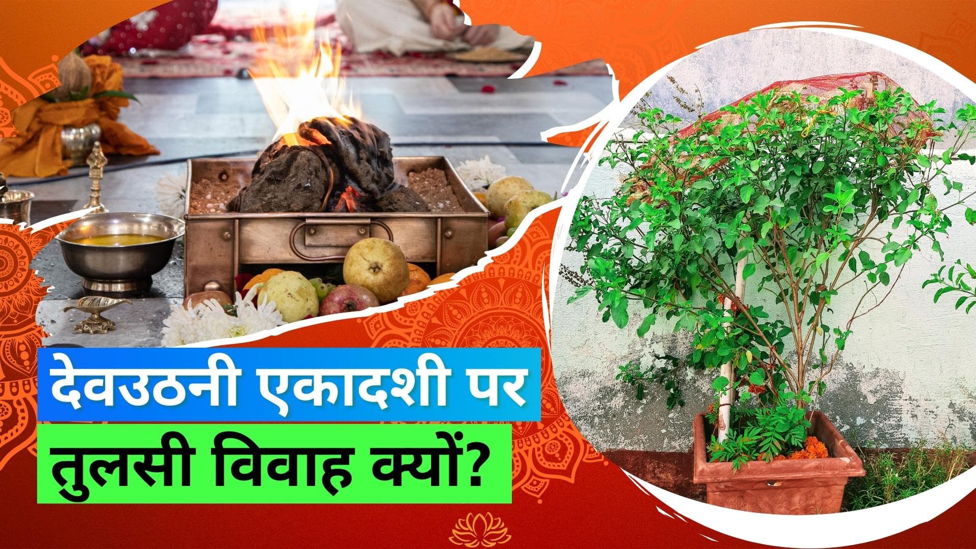 Tulsi Vivaah 2022: कब है तुलसी विवाह? देवोत्थान एकादशी पर चार महीनों बाद फिर शुरू होंगे मंगल कार्य