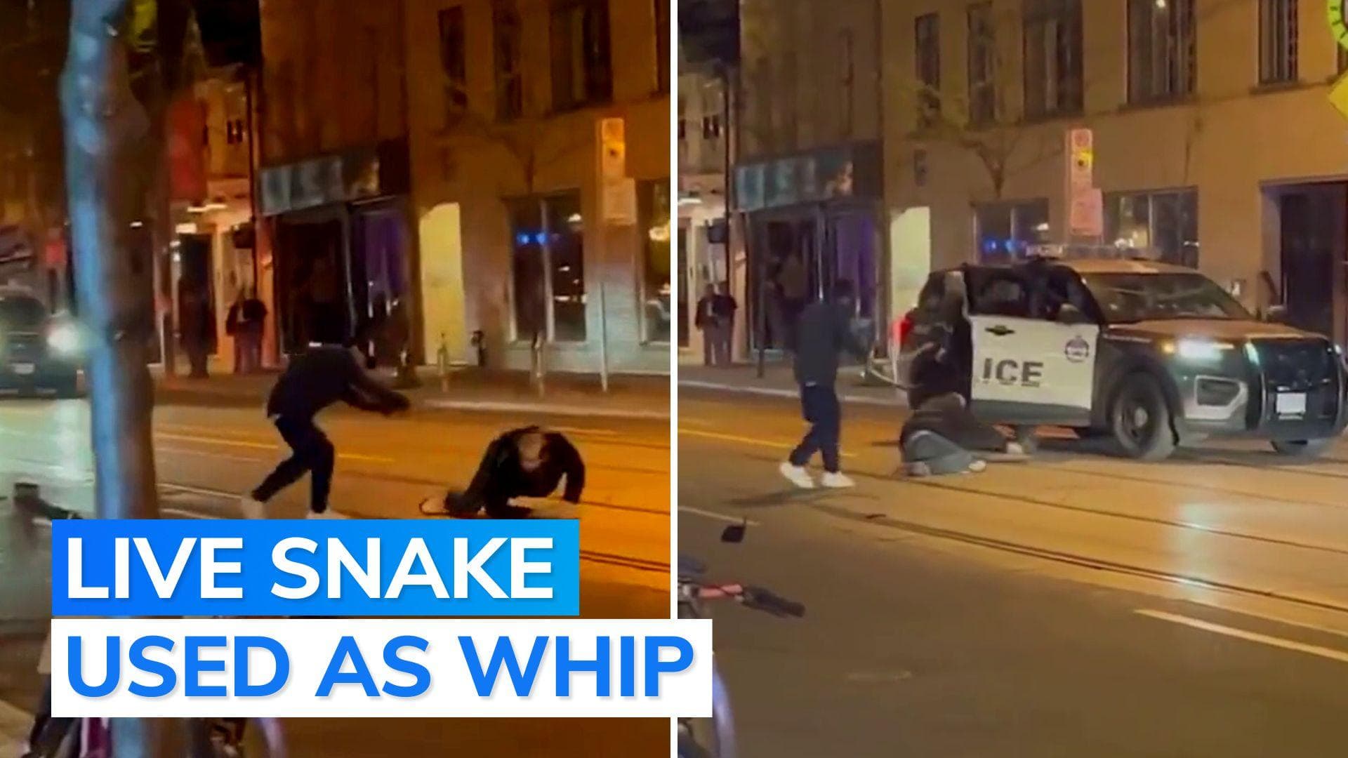 On cam: man uses pet python as weapon to attack person on Toronto street