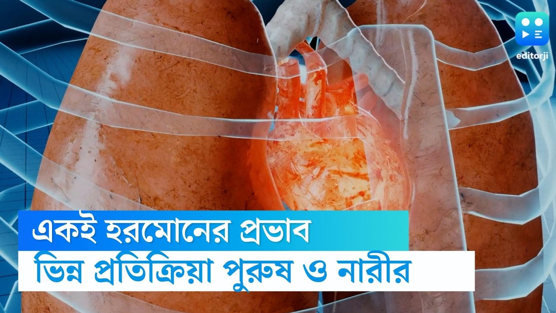 Stress Hormone: স্ট্রেস হরমোনগুলি পুরুষ এবং মহিলাদের শরীরে ভিন্ন রূপে কাজ করে, বলছে গবেষণা 