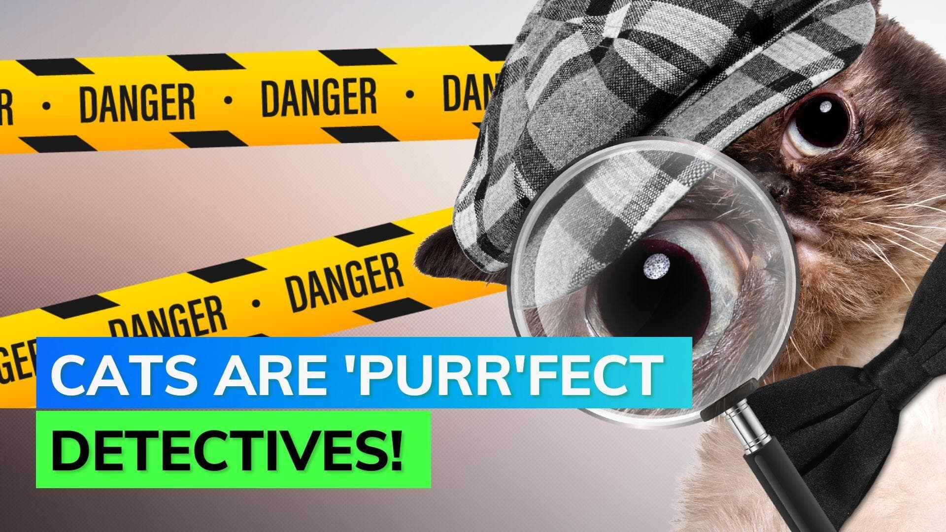 Besides dogs, this animal can also help solving criminal investigations: Study