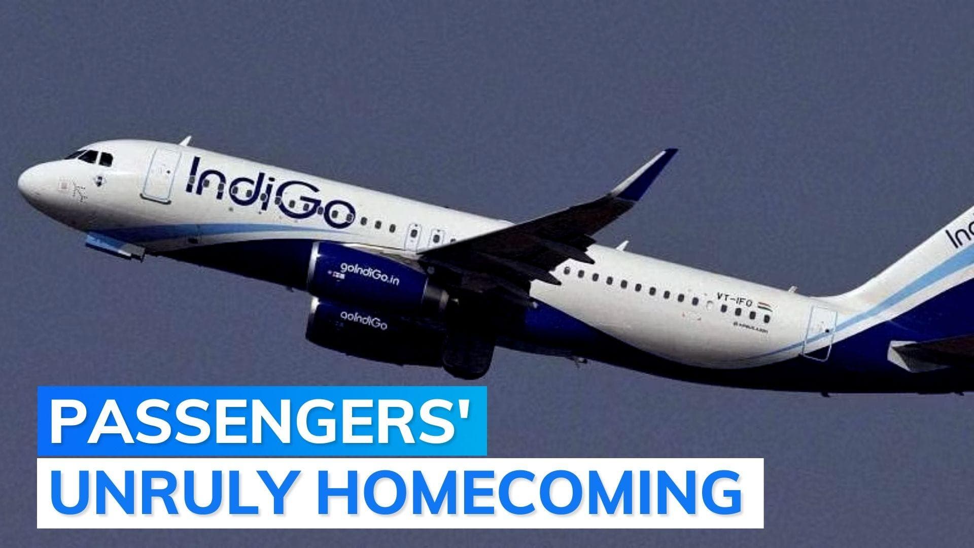 2 Indigo passengers arrested for 'drinking', 'misbehaving with crew'